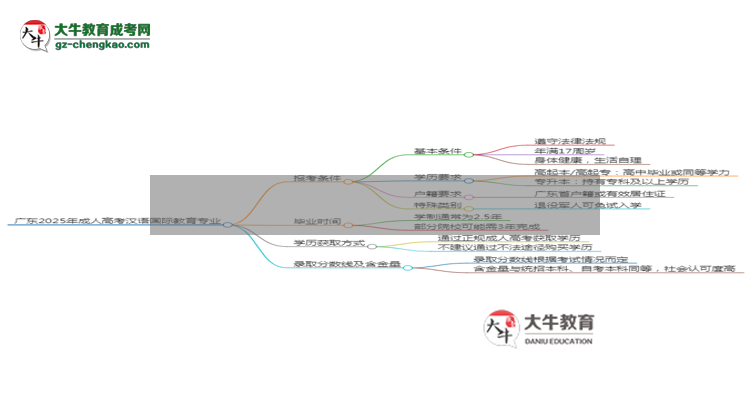 廣東2025年成人高考漢語國際教育專業(yè)報(bào)考條件詳解思維導(dǎo)圖